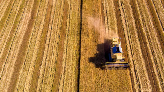 Ελλάδα: Η τρίτη μεγαλύτερη παραγωγός ρυζιού στην ΕΕ-Ποια συνάντηση θα γίνει σήμερα (13/12)