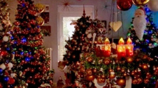 Στόλισαν με... 100 χριστουγεννιάτικα δέντρα το σπίτι τους! (BINTEO)