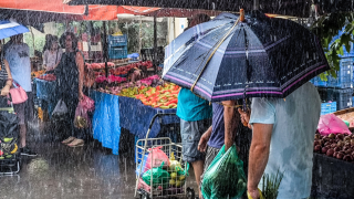 Σταματούν επ' αόριστον οι λαϊκές αγορές σε όλη την Ελλάδα από τις 7 Ιανουαρίου