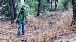 Τι αλλάζει στους καθαρισμούς των οικοπέδων με το νέο νομοσχέδιο