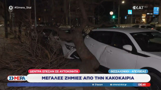 Ισχυροί άνεμοι και πτώσεις δένδρων στη Θεσσαλονίκη