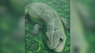 Εντοπίστηκε προϊστορικό ζώο με στριμμένη γνάθο που ζούσε πριν από 275 εκατ. χρόνια