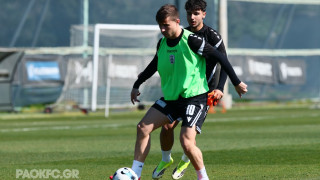 ΠΑΟΚ: Παραμένουν στα πιτς Ζίβκοβιτς, Γιακουμάκης και Κένι, ξανά με την ομάδα ο Πέλκας