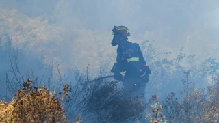 Χαλκιδική και Θεσσαλονίκη: Πρόστιμα για παράνομη καύση υπολειμμάτων