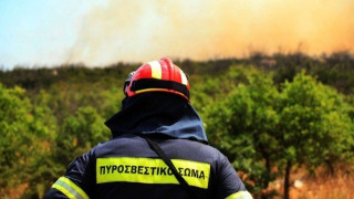 Θεσσαλονίκη: Δραματική μείωση πυροσβεστών - Αποκαλυπτικά στοιχεία
