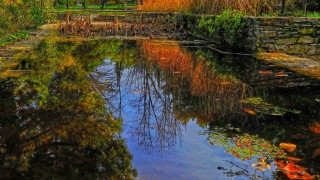 Ο μεγαλύτερος βοτανικός κήπος της Αν. Μεσογείου βρίσκεται στην Αττική