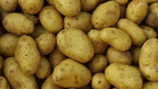 Πατάτα φύτρωσε στον... κόλπο μιας γυναίκας