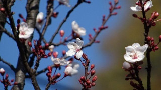 Η πρόβλεψη του καιρού για                      το Πάσχα