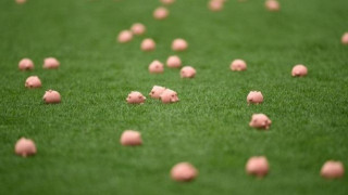 Κόβεντρι - Κάρντιφ: Καθυστέρηση    ελέω... γουρουνιών