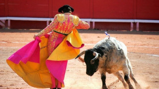 Ο…         νταής             Τόνι           Ανταμς!