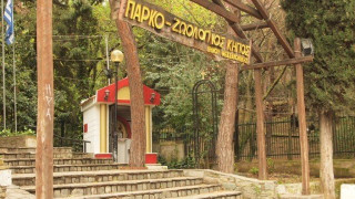 Άγρια ζώα θα εξακολουθήσει να έχει ο Ζωολογικός Κήπος Θεσσαλονίκης