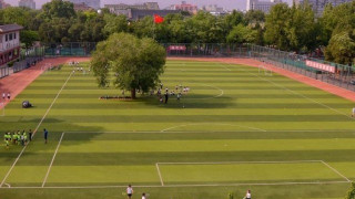 Ένα δέντρο στο κέντρο...  ποδοσφαιρικού γηπέδου! (ΦΩΤΟ)