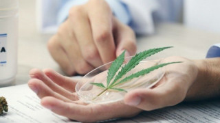 Ανοίγει ο δρόμος για την ιατρική κάνναβη και στην Ελλάδα