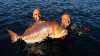 Συναγρίδα 11 κιλών χάρισε το παγκόσμιο ρεκόρ σε Έλληνα ψαροντουφεκά!