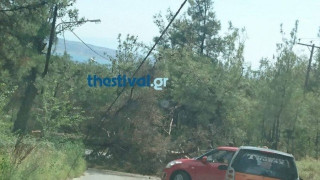 Θεσσαλονίκη: Πτώση δέντρου «έκοψε» τον δρόμο προς Φιλίππειο