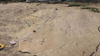 Εντοπίστηκαν στη Θεσσαλονίκη κλεμμένα παλαιοντολογικά αποτυπώματα