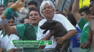 Πήγε στο γήπεδο παρέα                        με το... γουρούνι του!