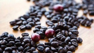 Τόσο κοστίζουν     οι πιο ακριβοί καφέδες του κόσμου