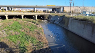 Δ. Αμπελοκήπων - Μενεμένης: Ελλιπής καθαρισμός χειμάρρου Δενδροποτάμου