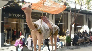 Θεσ/νίκη: Τρεις καμήλες για καλό σκοπό στον πεζόδρομο της Αγίας Σοφίας
