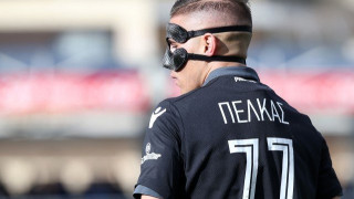 To                   κίνητρο                        του Πέλκα