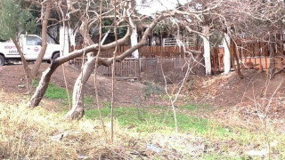 Θεσσαλονίκη: Πράσινο και ελεύθερος χώρος το ρέμα Κυβερνείου