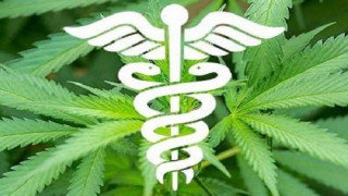 Το σποτ της κυβέρνησης για τη φαρμακευτική κάνναβη (BINTEO)