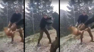 «Συγγνώμη» ζητούν τώρα οι οπλίτες που κακοποίησαν τον σκύλο
