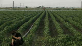 Απάτη σε 22 αγρότες από Θεσσαλονίκη και Ημαθία με όφελος 590.000 ευρώ