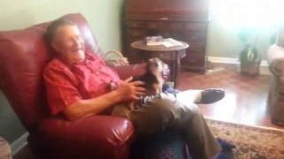 Σκύλος κάνει τον ψόφιο μόλις τον πιάνει ο άνθρωπος που μισεί! (VIDEO)