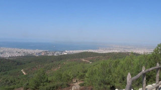 Εθελοντική δράση καθαρισμού του Σέιχ Σου την ερχόμενη Κυριακή