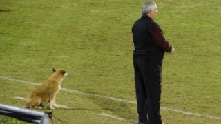 Προπονητής στην Παραγουάη έχει βοηθό του ...ένα σκύλο (pics)