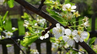 Ασταθής ο καιρός την Πρωτομαγιά κυρίως στα δυτικά και βόρεια