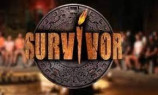 Survivor